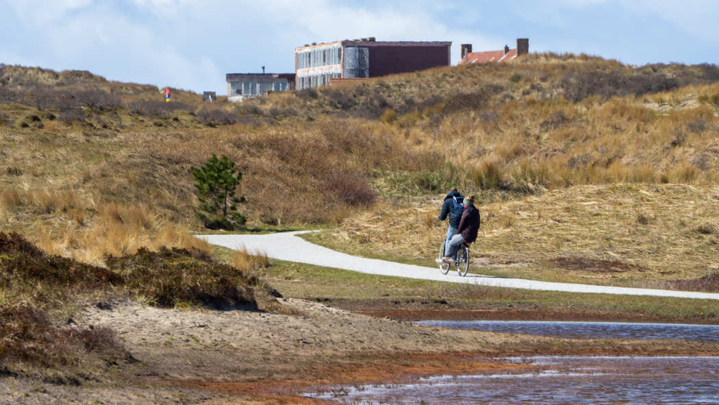 Biking Through the Dunes in the Netherlands