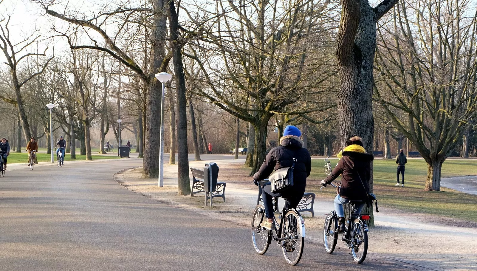 Rent a bike: Our options