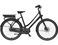 e-Bike mieten