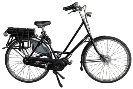 Electric bike rental