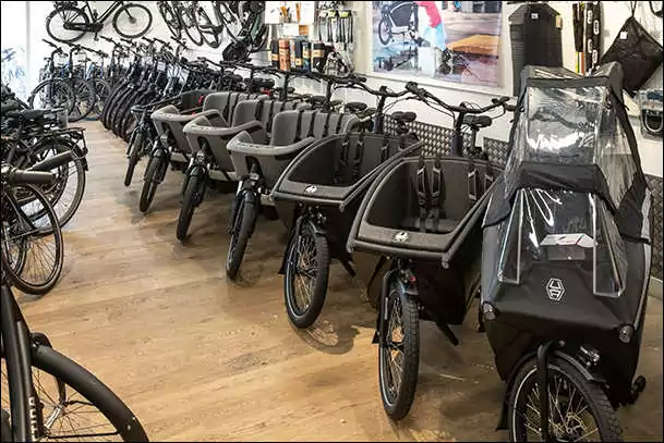 cargo bike rentals in haarlem