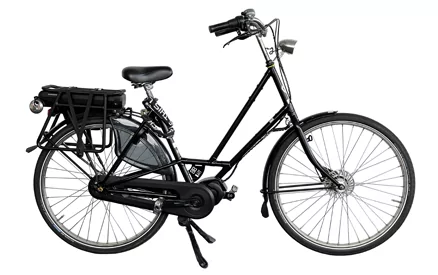 Electric bike rental