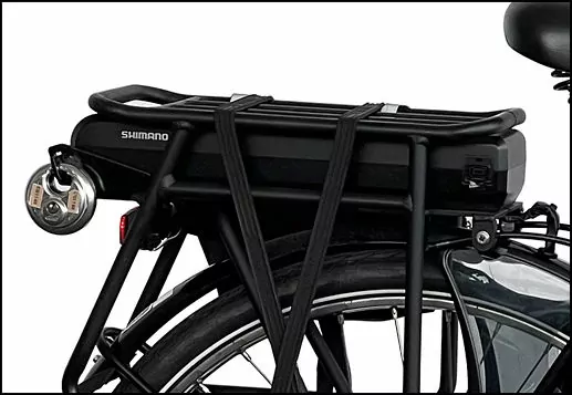 Electric Bike Rental Battery