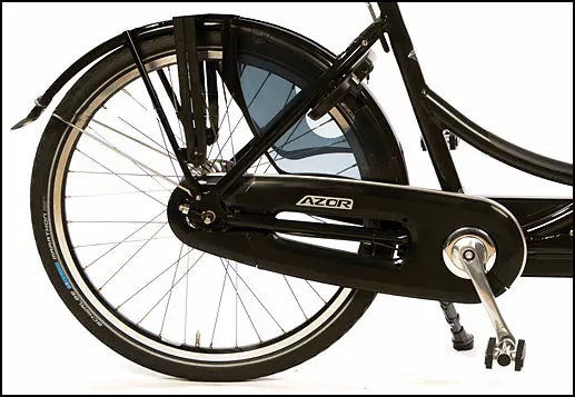 Tandem Bike Back