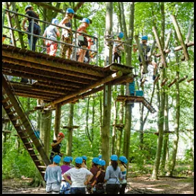 3: Fun Forest