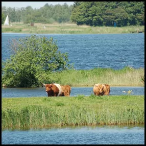 3: Het Twiske
