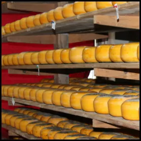 4: Cheese Farm