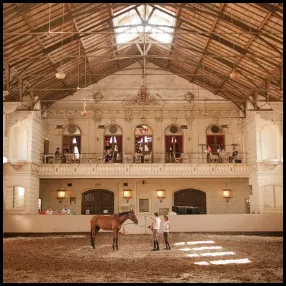 4: Hollandsche Manege