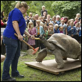 5: Artis Zoo