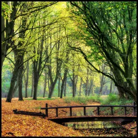 6: Amsterdamse Bos