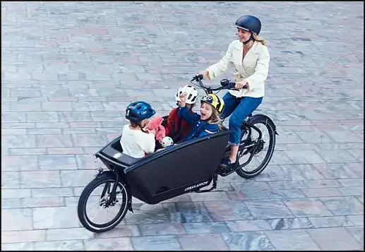 Large cargo bike rental